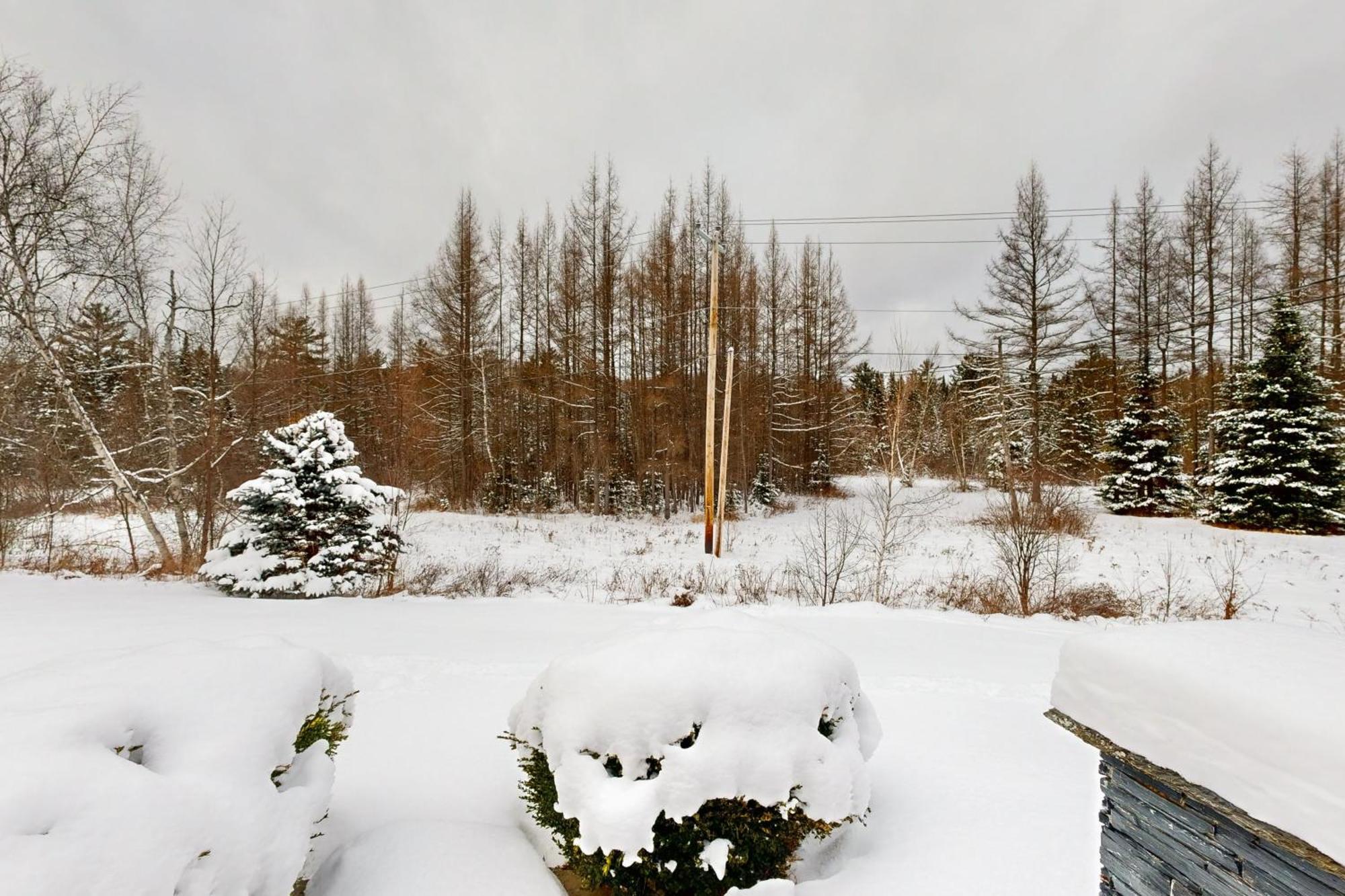 Twin View Log Home Carroll エクステリア 写真